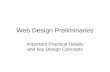 Web  Design Preliminaries