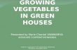 GROWING VEGETABLES  IN GREEN HOUSES