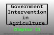 Government Intervention in  Agriculture