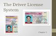The Driver License System
