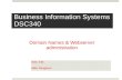 Business Information Systems DSC340