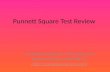 Punnett Square Test Review