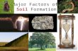 Major Factors of  Soil  Formation