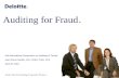 Auditing for Fraud .