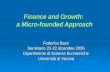 Finance and Growth:  a Micro-founded Approach