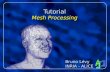 Tutorial Mesh Processing