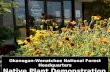 Okanogan-Wenatchee National Forest Headquarters Native Plant Demonstration Garden