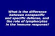 What is the difference between nonspecific  and specific defense, and  the role of lymphocytes  in the immune response?