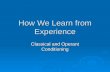 How We Learn from Experience