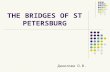 THE BRIDGES OF ST PETERSBURG