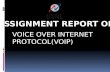 VOICE OVER INTERNET PROTOCOL(VOIP)