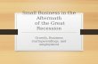 Small Business in the Aftermath  of the Great Recession