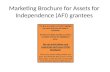 Marketing Brochure for Assets for Independence (AFI) grantees