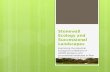 Stonewall  E cology and Successional  L andscapes