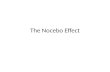 The  Nocebo  Effect