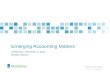 Emerging Accounting Matters