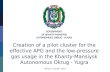 Creation of a pilot cluster for the effective APG and the low-pressure gas usage in the  Khanty-Mansiysk  Autonomous  Okrug  -  Yugra