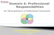 Domain 4: Professional  Responsibilities