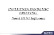 INFLUENZA PANDEMIC BRIEFING  Novel H1N1 Influenza