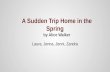 A Sudden Trip Home in the Spring by Alice Walker