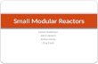 Small Modular Reactors