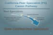 California Peer Specialist (PS)  Career Pathway