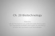 Ch. 20 Biotechnology
