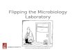 Flipping the Microbiology Laboratory
