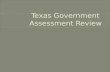 Texas Government  Assessment Review