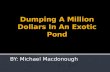 Dumping A Million Dollars In An Exotic Pond
