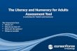 The Literacy and Numeracy for Adults  Assessment Tool