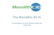 The Monolithic 3D-IC