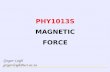 PHY1013S MAGNETIC FORCE