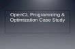 OpenCL Programming & Optimization Case Study