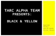 TARC Alpha team Presents: Black & yellow