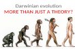 Darwinian evolution MORE THAN JUST A THEORY?