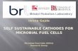 Iwona Gajda SELF SUSTAINABLE CATHODES FOR  MICROBIAL FUEL CELLS Microbial Fuel Cells (MFCs) Research Group