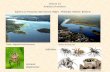 Spiders  on  Mazurian lake islands : Wigry –Mikołajki, Nidzkie,  Bełdany