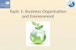Topic 1: Business Organisation and Environment