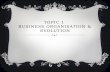 Topic 1  Business organisation & evolution