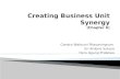 Creating Business Unit Synergy (Chapter 6)