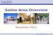 Saline Area Overview