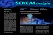 SEKEM Insight 09.2010
