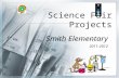 Science Fair Project Overview