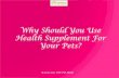 Why should you use health supplement for your Pets?