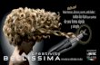 Creativity Bellissima - S1 5700 - Styling Guide