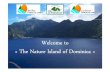 Antilles Dominica Eco Tours Limited