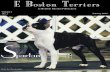 1 E Boston Terriers January 2010