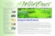 My Publication- Wild Ones