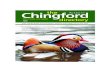 The Chingford Directory - May & June 2013